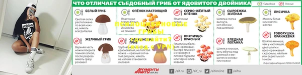 гидропоника Лиски