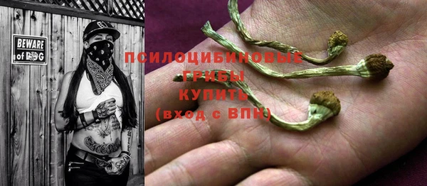 прущие крисы Абинск