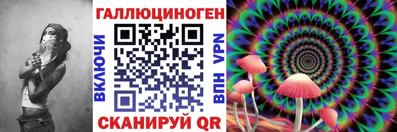 Псилоцибиновые грибы прущие грибы  закладка  Шилка 